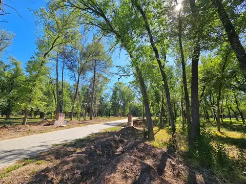 ALMAHUE - Pres. Derqui 100