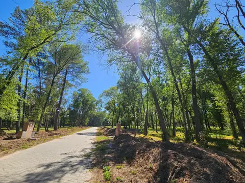 Terreno en Venta de 792,0 m2