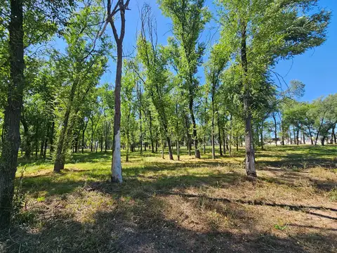 ALMAHUE - Pres. Derqui 100