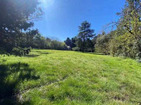 Terreno en Venta en San Jorge, USD 80.000