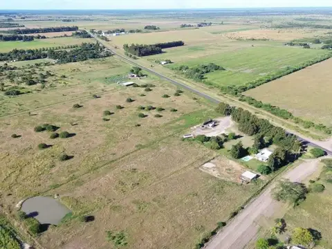 SE VENDEN 3 HECTAREAS SOBRE RUTA 11, EL TIMBO
