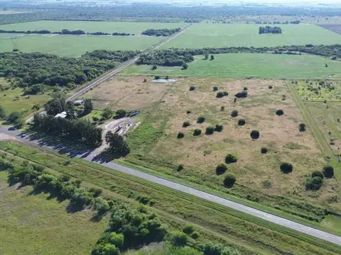 SE VENDEN 3 HECTAREAS SOBRE RUTA 11, EL TIMBO