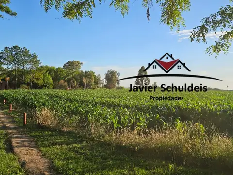 320