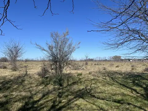 Camino provincial 68 - 03 Av. Libertad