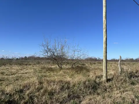 Campo 7.6 has en venta en Marcos Paz