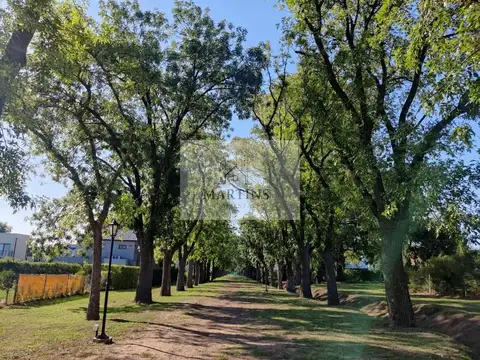 Lote en Santa Guadalupe Pilar del Este