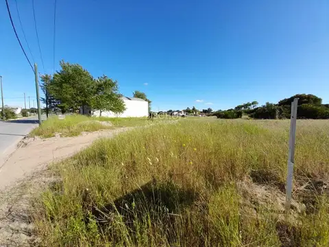 EXCELENTE TERRENO COMERCIAL SOBRE PASEO 139