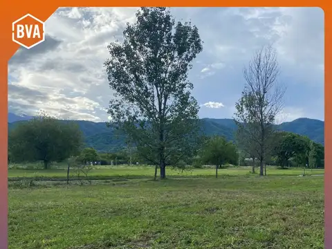 El Tipal, Los Chalchaleros