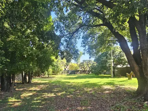 Casa en Alquiler al Sur