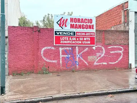 LOTE 8,66 X 50   ZONIFICACION USAM   SUPERFICIE EDIFICABLE 1450 M2