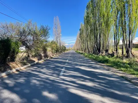 Galpón en Venta en Tupungato 2 hectáreas terreno