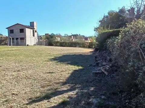 Teniente Gavazzi 100