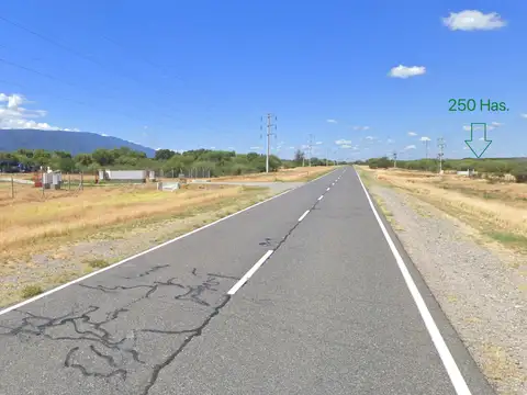 Campo en Venta de 250  ha
