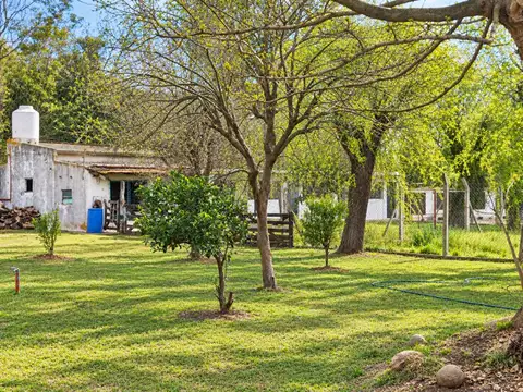 CHACRA EN VENTA 3,7 HECTÁREAS EN VIRREY DEL PINO