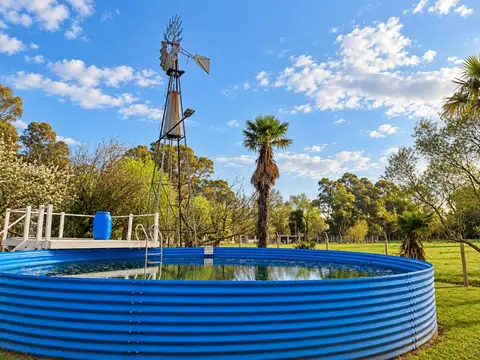 CHACRA EN VENTA 3,7 HECTÁREAS EN VIRREY DEL PINO
