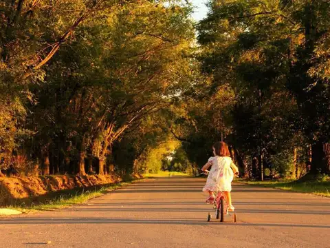 Terreno en Venta de 911,0 m2