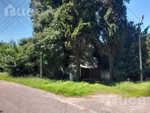 San Andres Golf Club S/N De Vicenzo Chico, Pilar