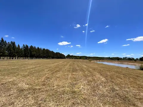 Terreno en Campos de Roca II