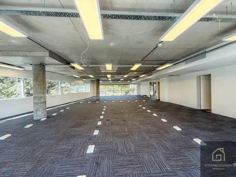Cecilia Grierson 400, Piso 2