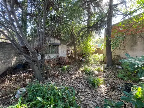 Casa en gran lote 8.66x43.30 a refaccionar integra.-375 m2 totales.