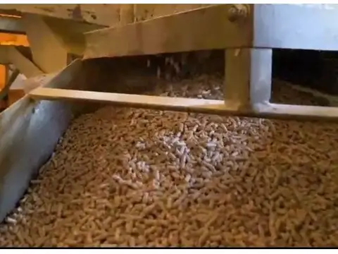 Planta de Alimentos Balanceados