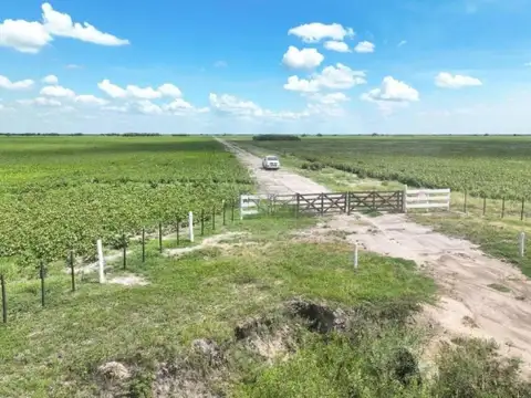 Ruta Provincial 77