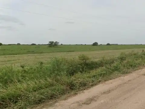 Ruta Provincial 77