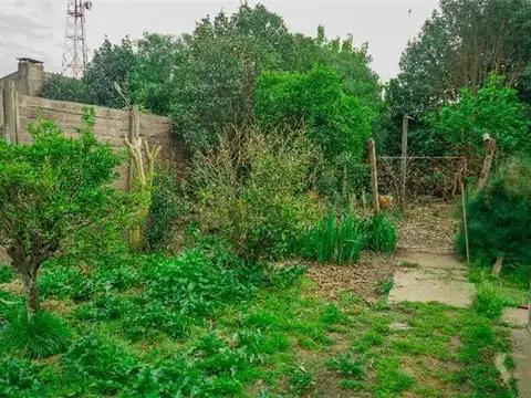 CASAS - CASA - LIBERTAD