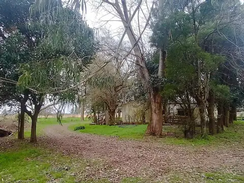 CAMPO MIXTO EN VENTA ALVAREZ JONTE - NUEZ PECÁN