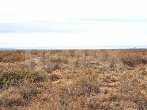 VENTA CAMPO 10 HECTAR COLONIA SAN JOSE SENILLOSA