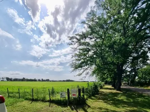1 hectárea en Pilar a metros de ruta 6