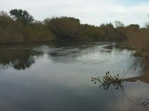 Chacra de 23, 4 hectáreas, lindera al arroyo San Carlos. Gran oportunidad!