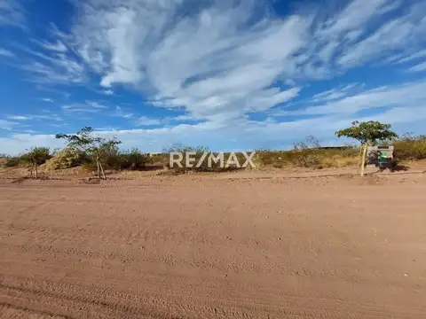 VENTA TERRENO CHOCON MEDIO