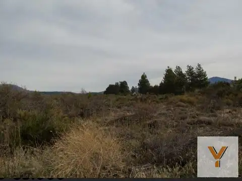 Terreno en Venta de 2006,0 m2