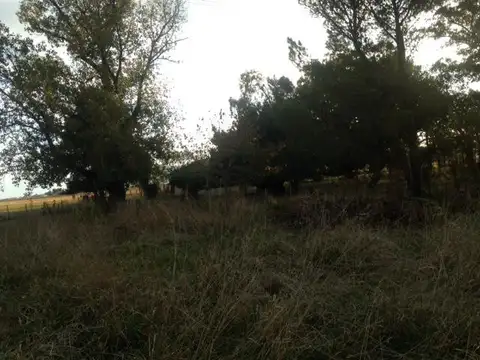 Campo 30HA apto para cualquier destino