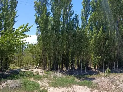 Chacra 2,69 ha con Escritura Ruta 17 Picún Leufú