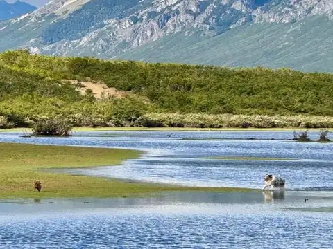 Intendente Mario E. Marqués