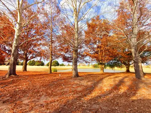 Venta Terreno Barrio Cerrado La Rinconada Ibarlucea Amenities Campo de Golf Polo FINANCIACION PERMUT