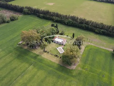 Campo 15ha San Andres de Giles