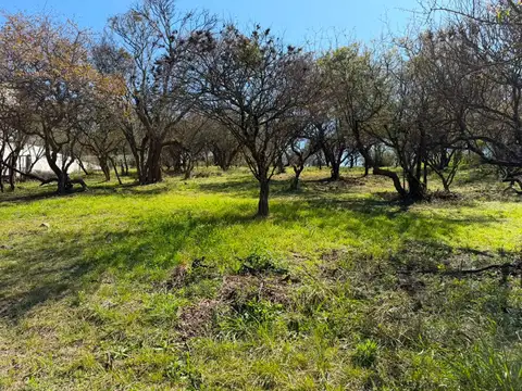 Venta lote central 1300 m2 la pankana
