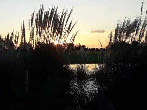 Terreno en Venta de 4500,0 m2