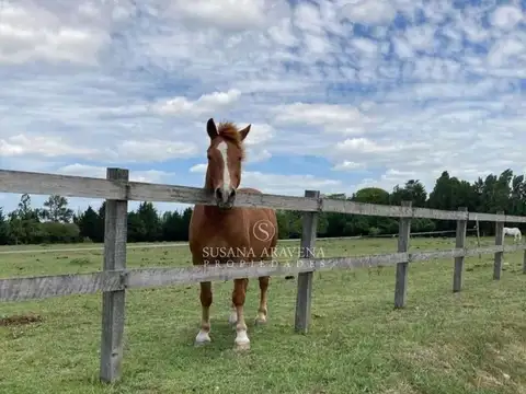 Terreno en Venta en Campana, USD 41.900