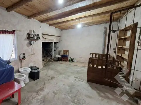 En Venta | Chacra de 4 Hectaréas | Zona Rural | Senillosa