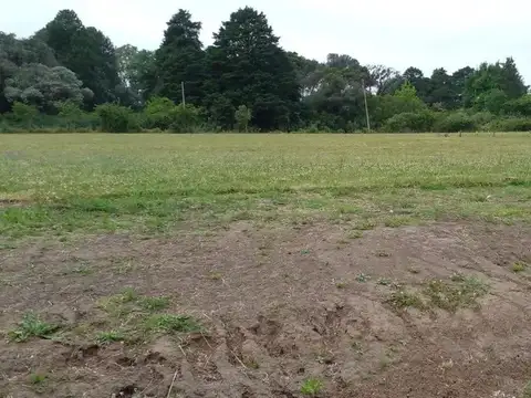 Terreno en Venta de 1500,0 m2