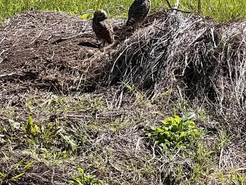 Terreno en venta - 1.500Mts2 - Pilar