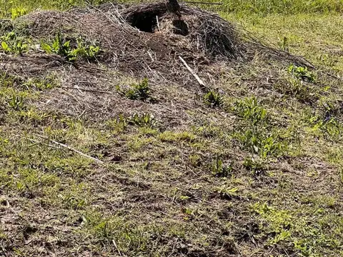 Terreno en Venta de 1500,0 m2