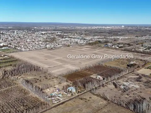 Terreno /Lote en venta de 400m2 ubicado en Urbanizacion Gran Alameda, Cipolletti