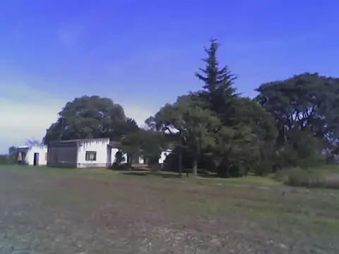 Campo en Venta Agrícola