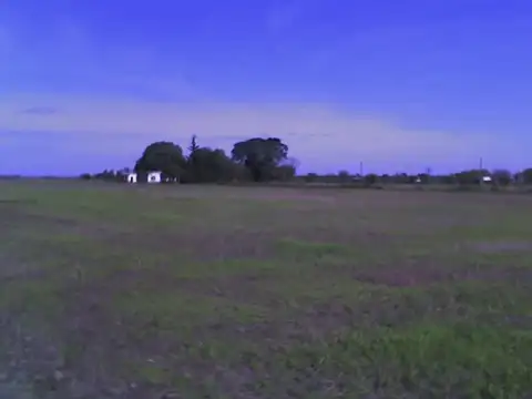 VENTA Lote de Campo Apto Loteo / Emprendimientos -Timbúes-