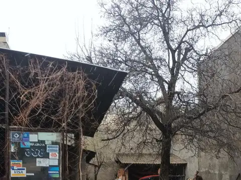 Terreno en Venta 50  mts Fondo